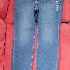 Lane Bryant Signature Fit Skinny Mid-rise Jeans